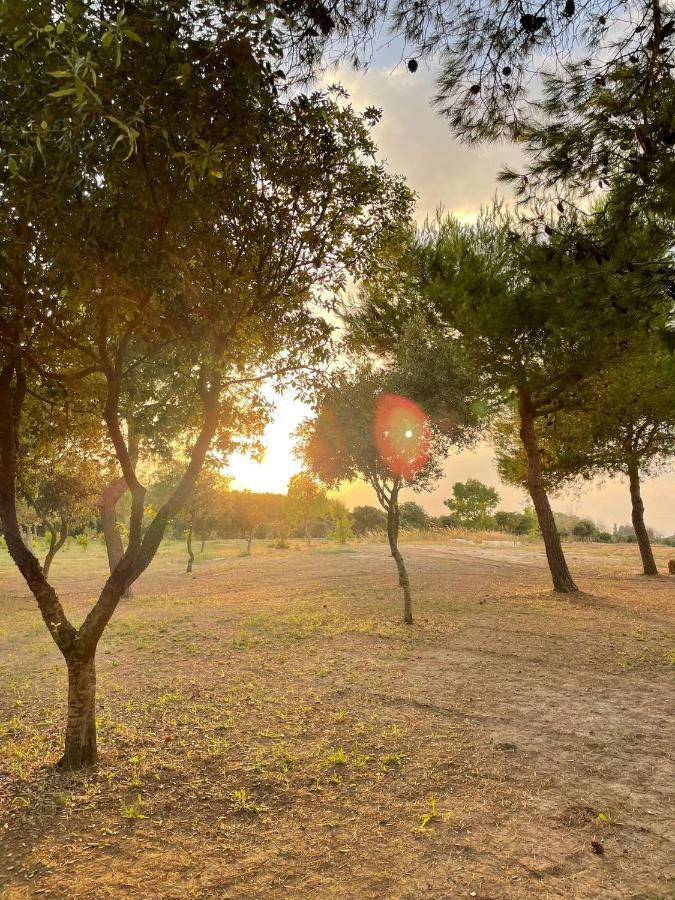 Agriturismo Tenuta Pozzello Торре дель'Орсо Экстерьер фото