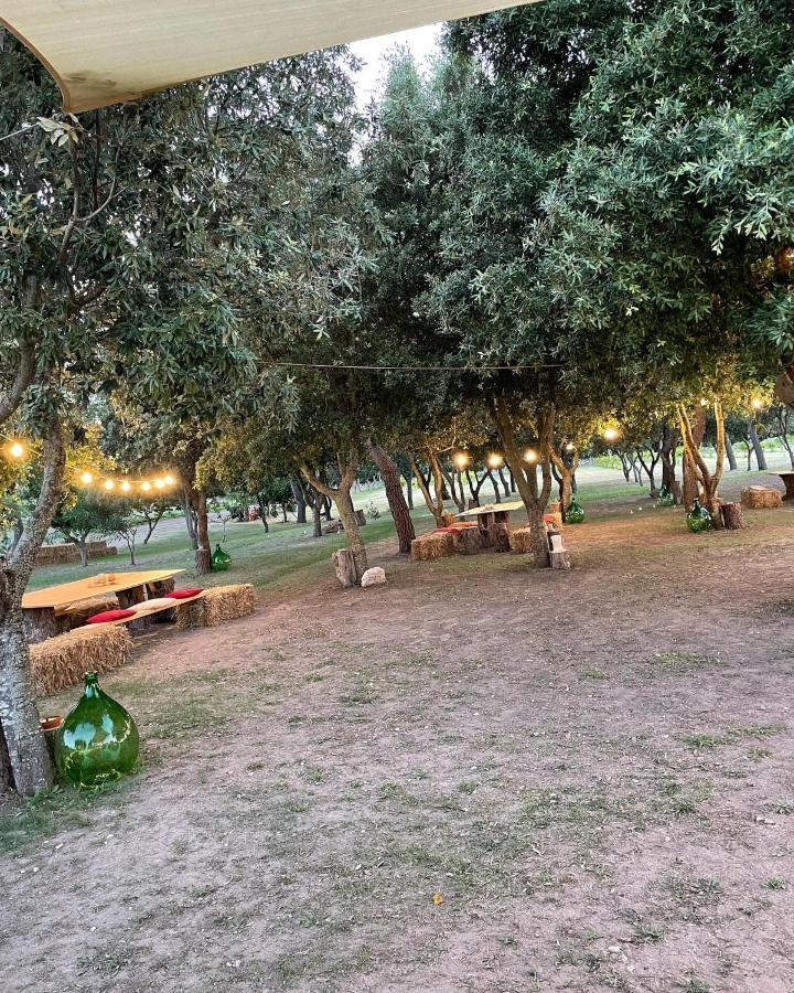 Agriturismo Tenuta Pozzello Торре дель'Орсо Экстерьер фото